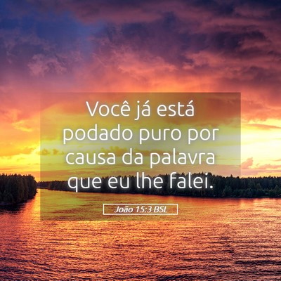 Picture 05 - João 15:3 BSL - Você já está podado puro por causa da palavra - Bible Verse Picture