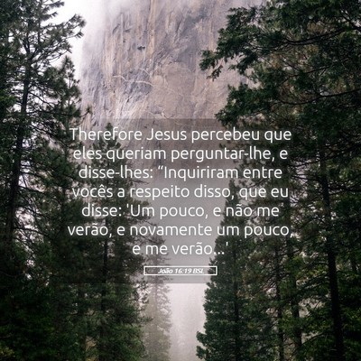 Picture 05 - João 16:19 BSL - Therefore Jesus percebeu que eles queriam - Bible Verse Picture