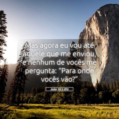 Picture 05 - João 16:5 BSL - Mas agora eu vou até aquele que me enviou, e - Bible Verse Picture