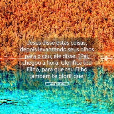 Picture 05 - João 17:1 BSL - Jesus disse estas coisas, depois levantando seus - Bible Verse Picture