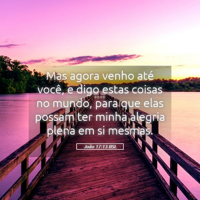 Picture 05 - João 17:13 BSL - Mas agora venho até você, e digo estas coisas - Bible Verse Picture