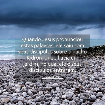 Picture 05 - João 18:1 BSL - Quando Jesus pronunciou estas palavras, ele saiu - Bible Verse Picture