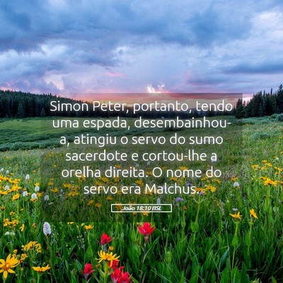 Picture 05 - João 18:10 BSL - Simon Peter, portanto, tendo uma espada, - Bible Verse Picture