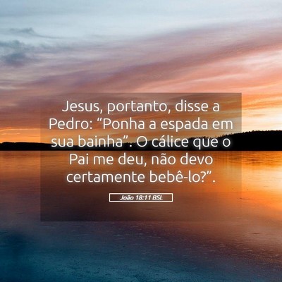 Picture 05 - João 18:11 BSL - Jesus, portanto, disse a Pedro: “Ponha a espada - Bible Verse Picture