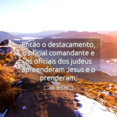 Picture 05 - João 18:12 BSL - Então o destacamento, o oficial comandante e os - Bible Verse Picture