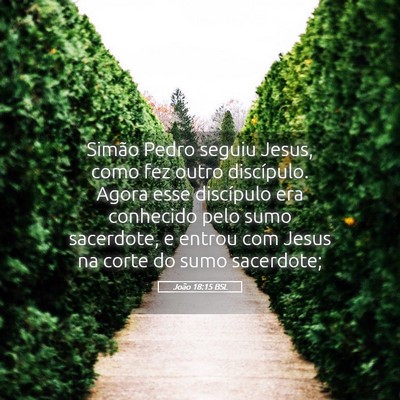 Picture 05 - João 18:15 BSL - Simão Pedro seguiu Jesus, como fez outro - Bible Verse Picture