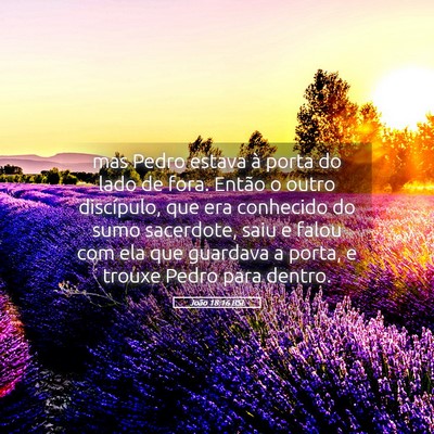 Picture 05 - João 18:16 BSL - mas Pedro estava à porta do lado de fora. Então - Bible Verse Picture