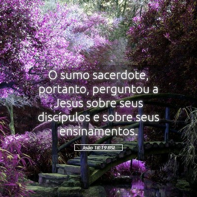 Picture 05 - João 18:19 BSL - O sumo sacerdote, portanto, perguntou a Jesus - Bible Verse Picture