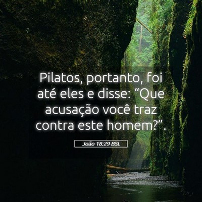 Picture 05 - João 18:29 BSL - Pilatos, portanto, foi até eles e disse: “Que - Bible Verse Picture