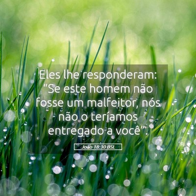 Picture 05 - João 18:30 BSL - Eles lhe responderam: “Se este homem não fosse - Bible Verse Picture