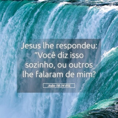 Picture 05 - João 18:34 BSL - Jesus lhe respondeu: “Você diz isso sozinho, - Bible Verse Picture
