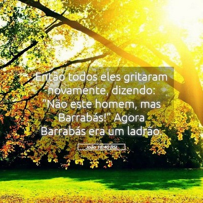 Picture 05 - João 18:40 BSL - Então todos eles gritaram novamente, dizendo: - Bible Verse Picture