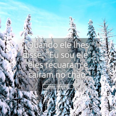 Picture 05 - João 18:6 BSL - Quando ele lhes disse: “Eu sou ele”, eles - Bible Verse Picture