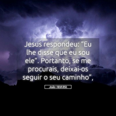 Picture 05 - João 18:8 BSL - Jesus respondeu: “Eu lhe disse que eu sou - Bible Verse Picture