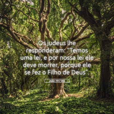 Picture 05 - João 19:7 BSL - Os judeus lhe responderam: “Temos uma lei, e - Bible Verse Picture
