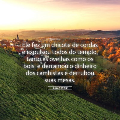 Picture 05 - João 2:15 BSL - Ele fez um chicote de cordas e expulsou todos do - Bible Verse Picture