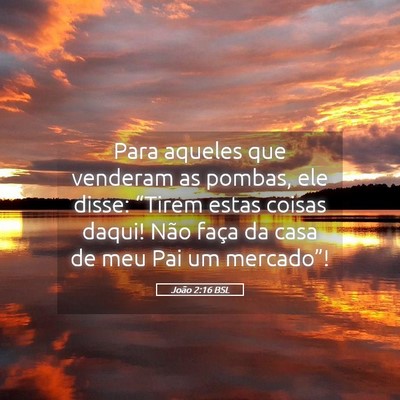 Picture 05 - João 2:16 BSL - Para aqueles que venderam as pombas, ele disse: - Bible Verse Picture