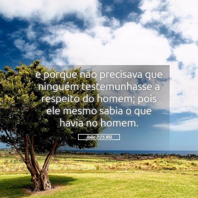 Picture 05 - João 2:25 BSL - e porque não precisava que ninguém - Bible Verse Picture
