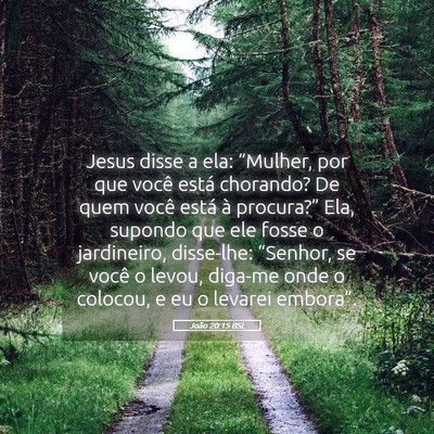 Picture 05 - João 20:15 BSL - Jesus disse a ela: “Mulher, por que você está - Bible Verse Picture