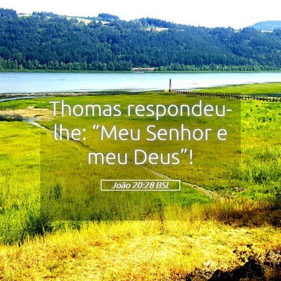 Picture 05 - João 20:28 BSL - Thomas respondeu-lhe: “Meu Senhor e meu - Bible Verse Picture