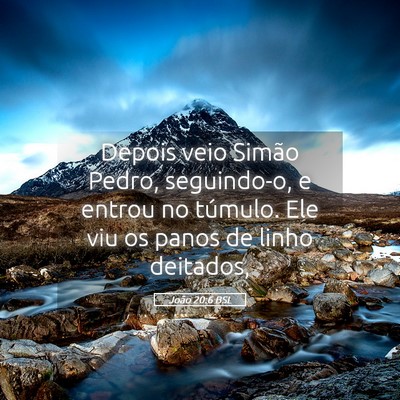 Picture 05 - João 20:6 BSL - Depois veio Simão Pedro, seguindo-o, e entrou no - Bible Verse Picture