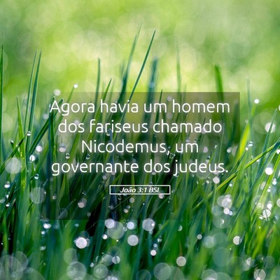 Picture 05 - João 3:1 BSL - Agora havia um homem dos fariseus chamado - Bible Verse Picture