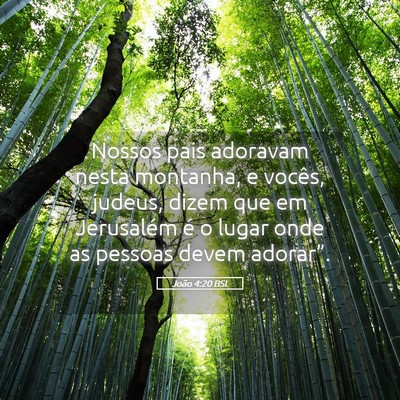 Picture 05 - João 4:20 BSL - Nossos pais adoravam nesta montanha, e vocês, - Bible Verse Picture