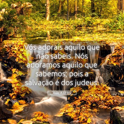 Picture 05 - João 4:22 BSL - Vós adorais aquilo que não sabeis. Nós - Bible Verse Picture