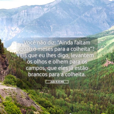 Picture 05 - João 4:35 BSL - Você não diz: “Ainda faltam quatro meses para - Bible Verse Picture