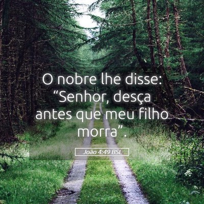 Picture 05 - João 4:49 BSL - O nobre lhe disse: “Senhor, desça antes que - Bible Verse Picture
