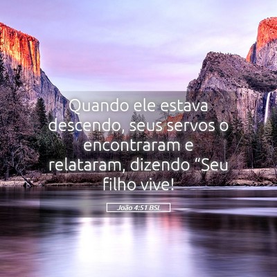 Picture 05 - João 4:51 BSL - Quando ele estava descendo, seus servos o - Bible Verse Picture