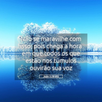 Picture 05 - João 5:28 BSL - Não se maravilhe com isso, pois chega a hora em - Bible Verse Picture