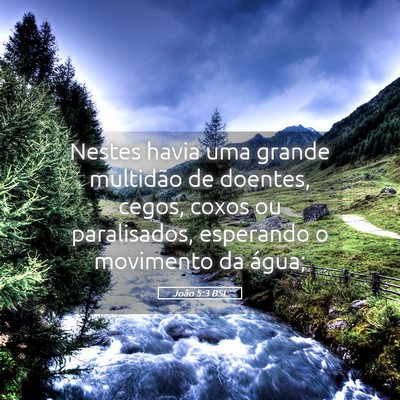 Picture 05 - João 5:3 BSL - Nestes havia uma grande multidão de doentes, - Bible Verse Picture