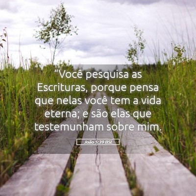 Picture 05 - João 5:39 BSL - “Você pesquisa as Escrituras, porque pensa que - Bible Verse Picture