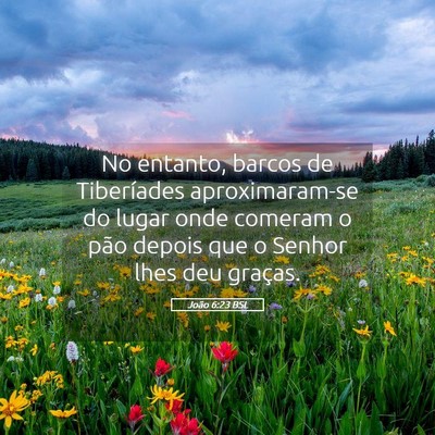 Picture 05 - João 6:23 BSL - No entanto, barcos de Tiberíades aproximaram-se - Bible Verse Picture