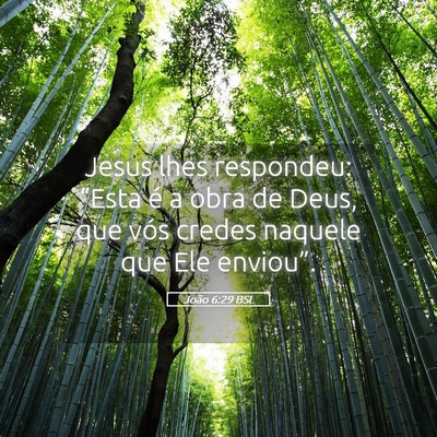Picture 05 - João 6:29 BSL - Jesus lhes respondeu: “Esta é a obra de Deus, - Bible Verse Picture