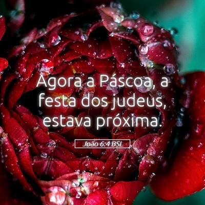 Picture 05 - João 6:4 BSL - Agora a Páscoa, a festa dos judeus, estava - Bible Verse Picture