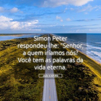 Picture 05 - João 6:68 BSL - Simon Peter respondeu-lhe: “Senhor, a quem - Bible Verse Picture