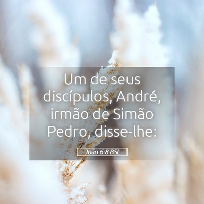 Picture 05 - João 6:8 BSL - Um de seus discípulos, André, irmão de Simão - Bible Verse Picture