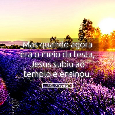 Picture 05 - João 7:14 BSL - Mas quando agora era o meio da festa, Jesus subiu - Bible Verse Picture