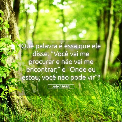 Picture 05 - João 7:36 BSL - Que palavra é essa que ele disse: “Você vai - Bible Verse Picture