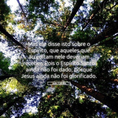 Picture 05 - João 7:39 BSL - Mas ele disse isto sobre o Espírito, que aqueles - Bible Verse Picture