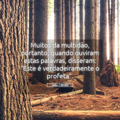 Picture 05 - João 7:40 BSL - Muitos da multidão, portanto, quando ouviram - Bible Verse Picture