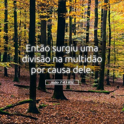 Picture 05 - João 7:43 BSL - Então surgiu uma divisão na multidão por causa - Bible Verse Picture