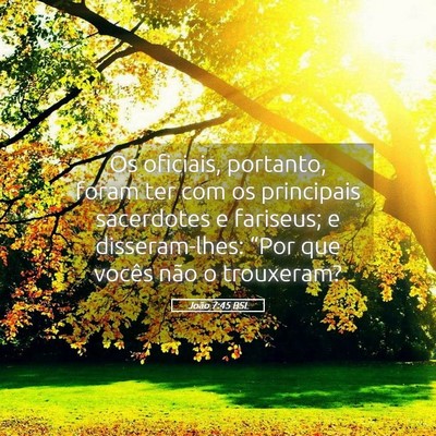 Picture 05 - João 7:45 BSL - Os oficiais, portanto, foram ter com os - Bible Verse Picture