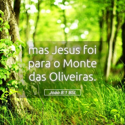 Picture 05 - João 8:1 BSL - mas Jesus foi para o Monte das - Bible Verse Picture