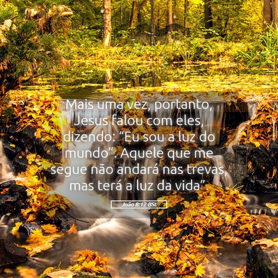 Picture 05 - João 8:12 BSL - Mais uma vez, portanto, Jesus falou com eles, - Bible Verse Picture