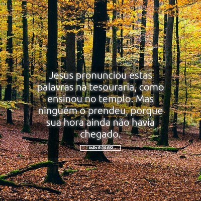 Picture 05 - João 8:20 BSL - Jesus pronunciou estas palavras na tesouraria, - Bible Verse Picture