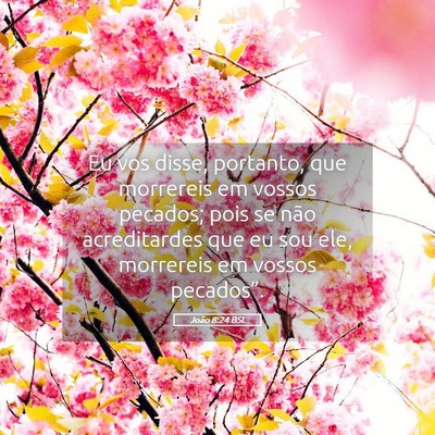 Picture 05 - João 8:24 BSL - Eu vos disse, portanto, que morrereis em vossos - Bible Verse Picture