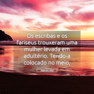 Picture 05 - João 8:3 BSL - Os escribas e os fariseus trouxeram uma mulher - Bible Verse Picture
